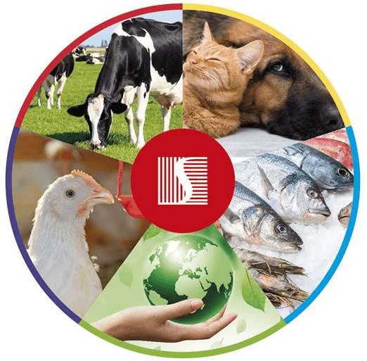 Η εμπειρία του ανήκειν σε έναν μεγάλο όμιλο