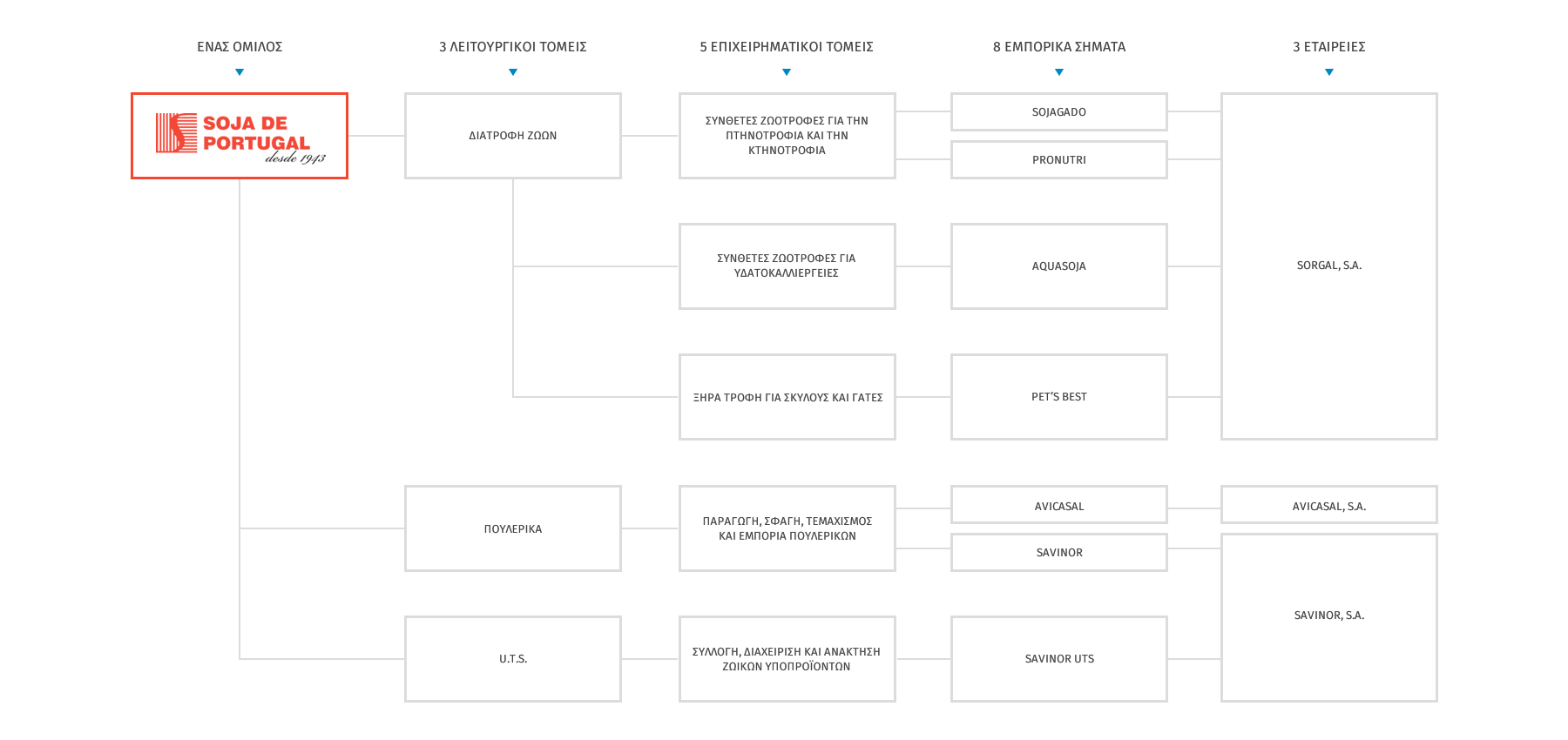 Ο κόσμος της Soja de Portugal 