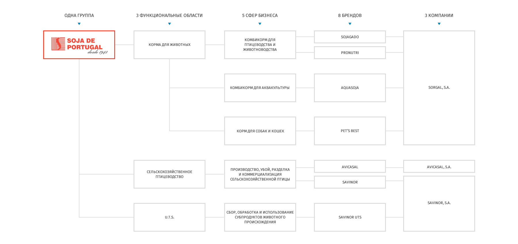 Вселенная Soja de Portugal&nbsp;