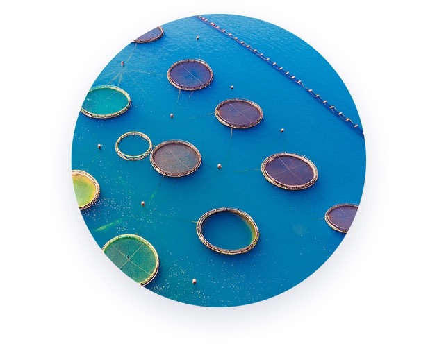 Our Process of innovation