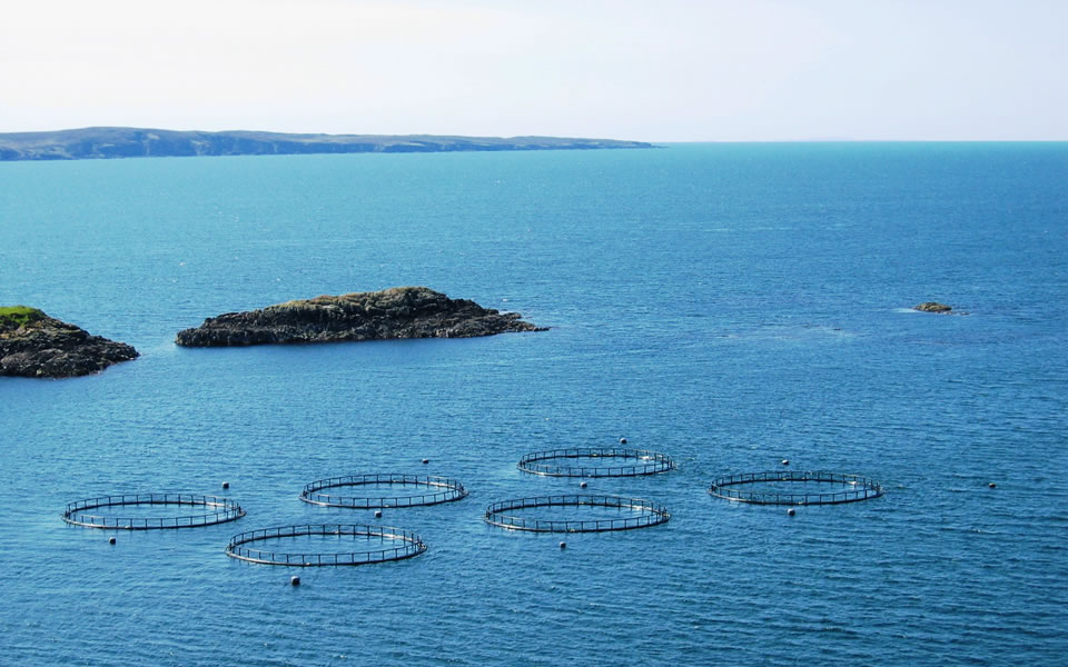 25 anos de experi&ecirc;ncia