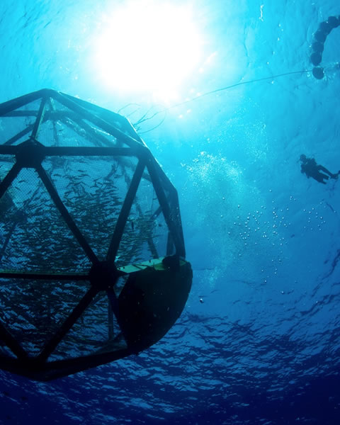 Inova&ccedil;&atilde;o