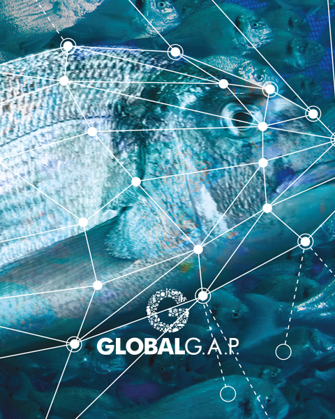 Certifica&ccedil;&atilde;o para CFM da GLOBALG.A.P.